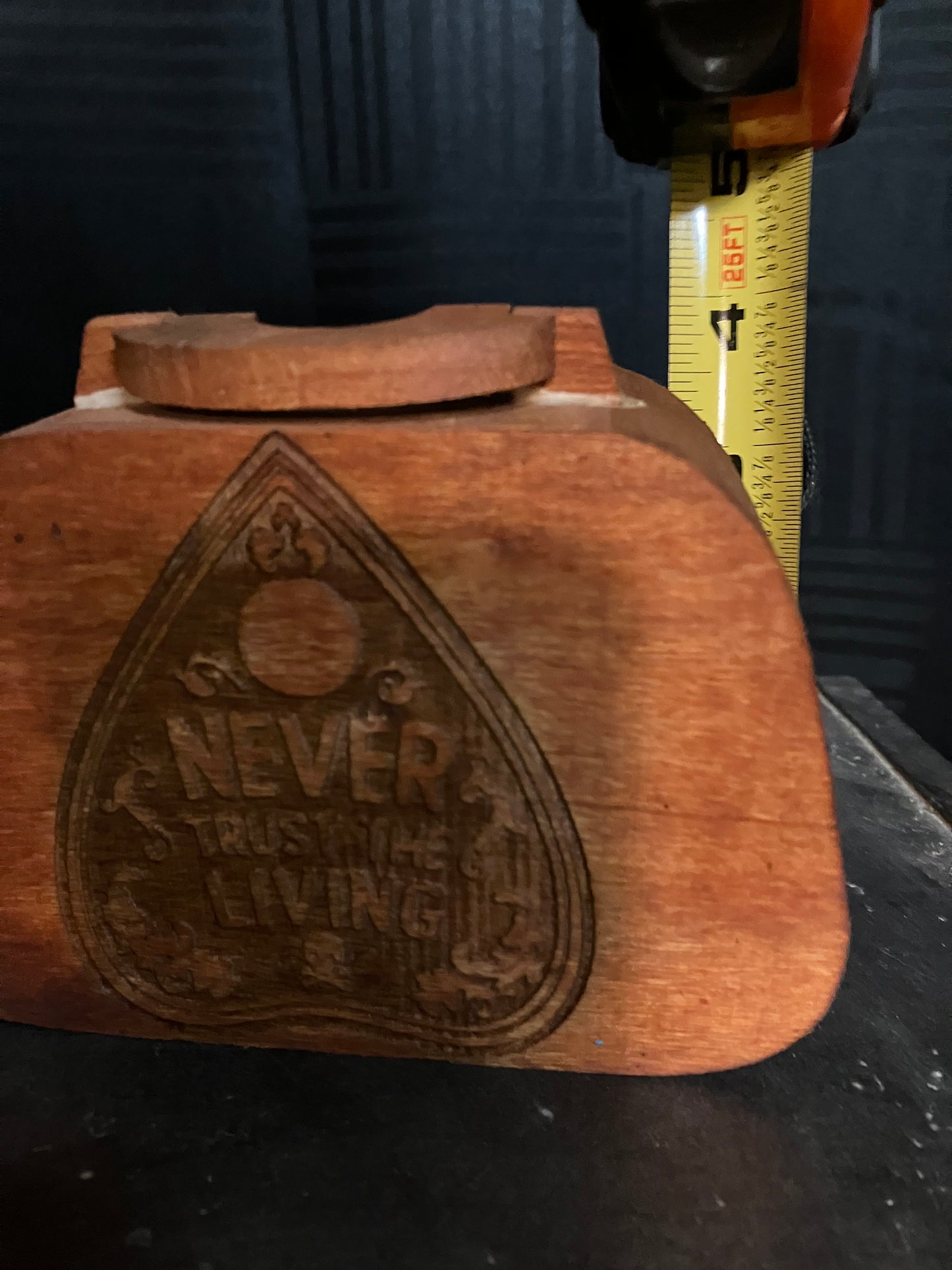 Never trust pail